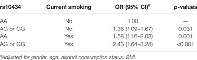 Interaction Between Vascular Endothelial Growth Factor Gene Polymorphism and Smoking on Gastric Cancer Risk in Chinese Han Population